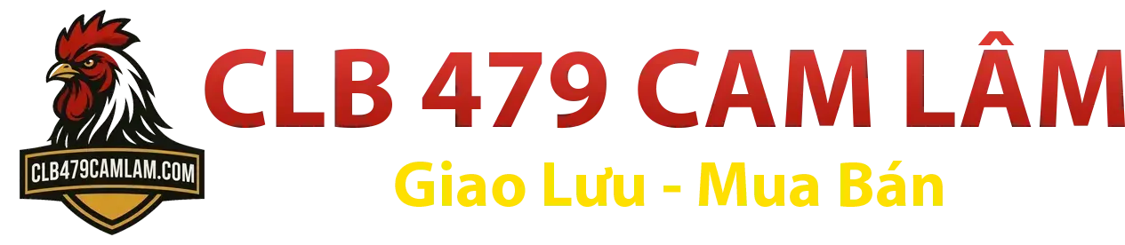 CLB 479 Cam Lâm